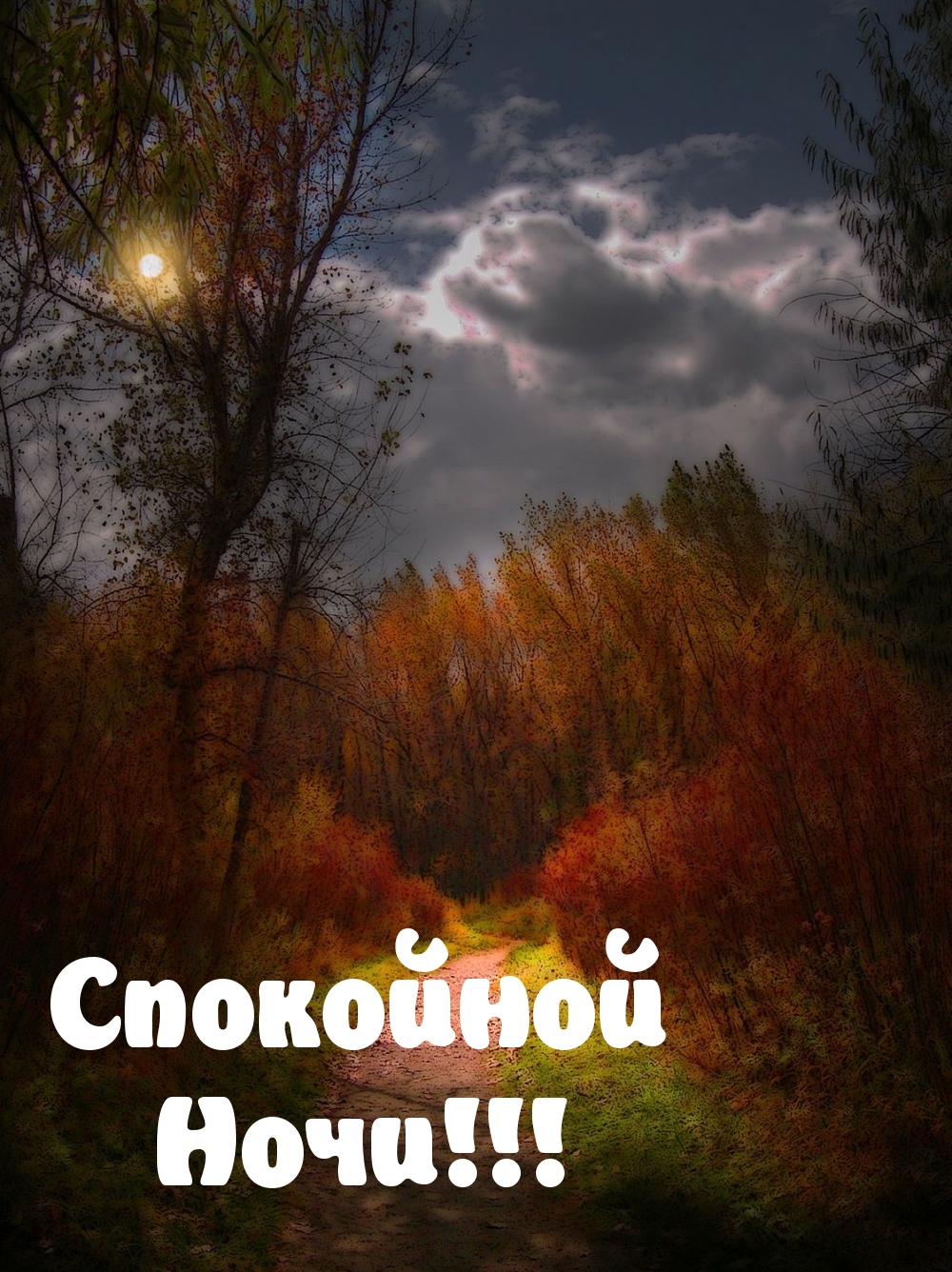 Осенний лес с облаками