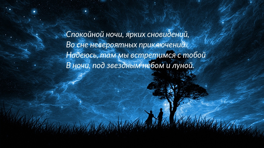 Ночное небо и дерево