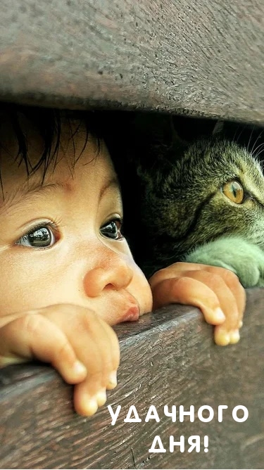 Ребенок и котик
