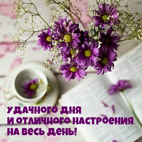 Фиолетовые цветы, книга и чашка