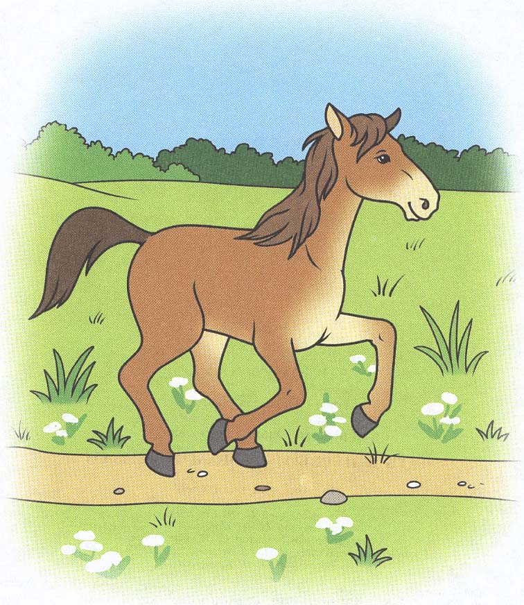 Картинка бегущая лошадь