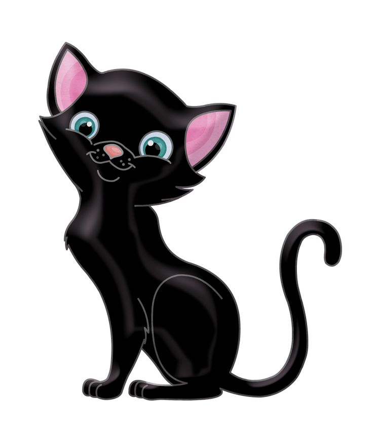 Картинка красивый черный котенок