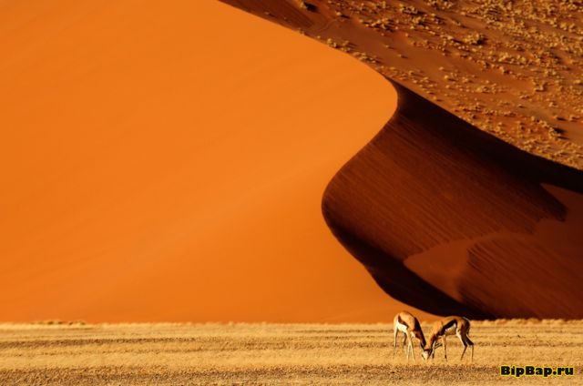 Картинка красивая солнечная пустыня