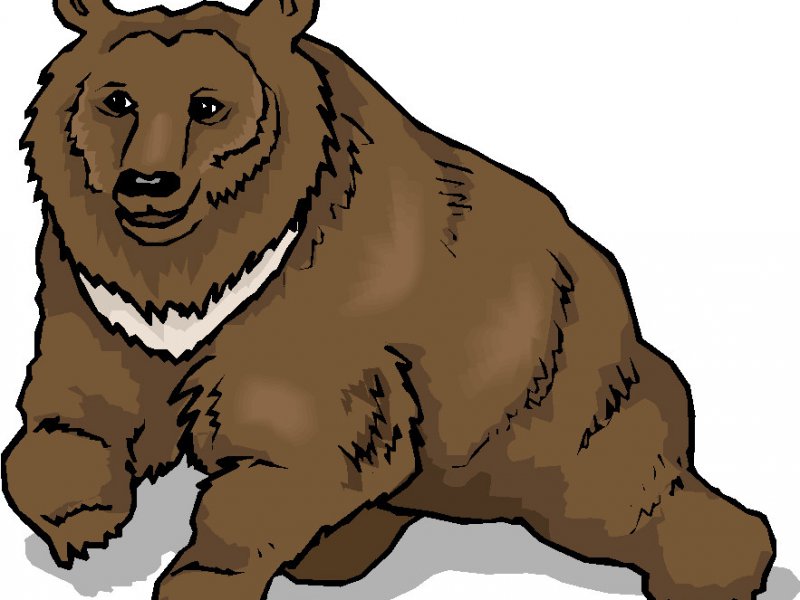 Открытка медведь гризли