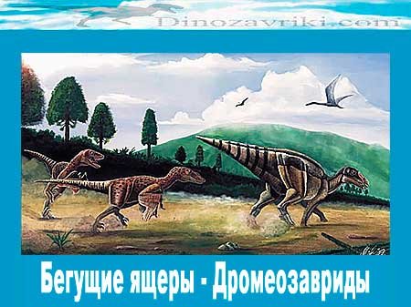 Дромеозавриды.