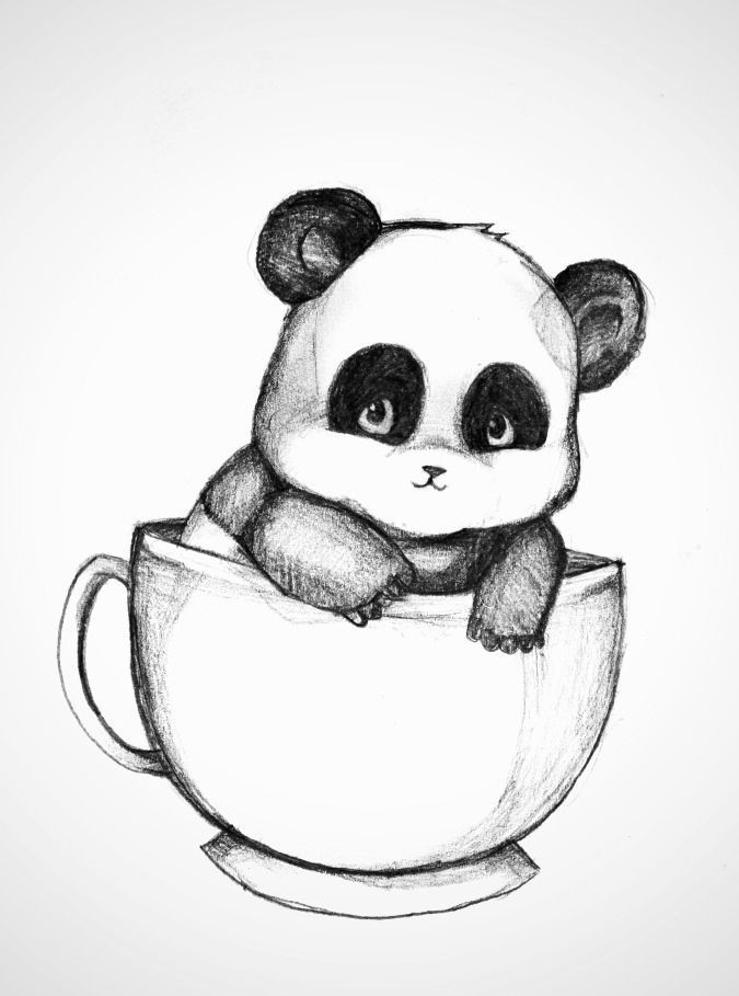 Панда в чашке