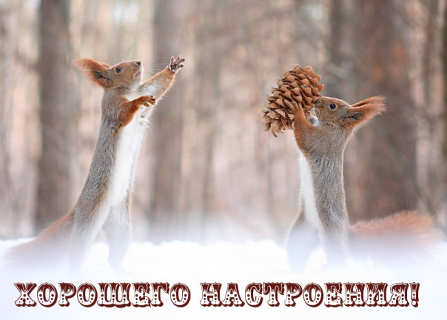 Хорошего настроения