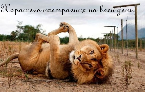 Хорошего настроения