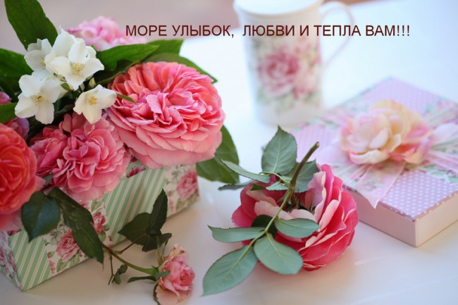 Море улыбок