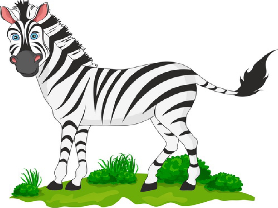 Картинка зебра на травке