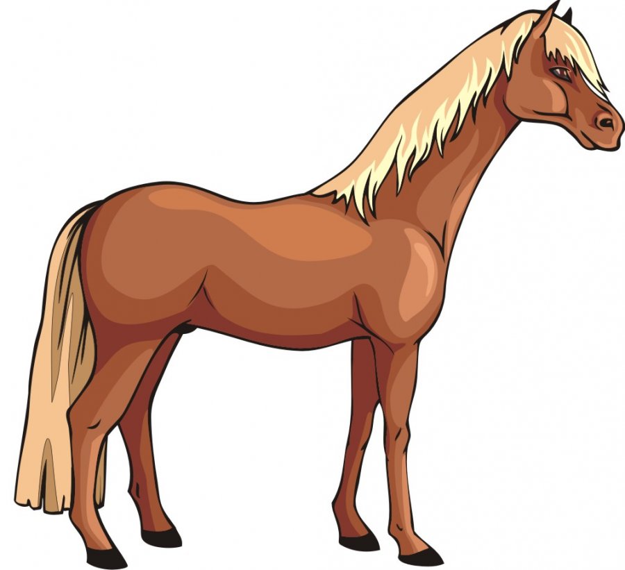 Картинка стройная лошадь