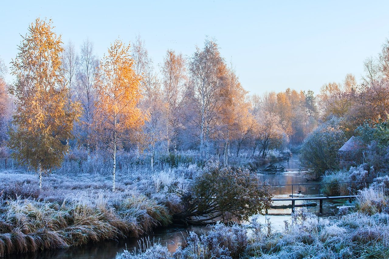 Тихий пасмурный денек с легким морозцем впр. Ранняя зима. Ноябрьский пейзаж. Морозное осеннее утро. Ноябрь пейзаж.