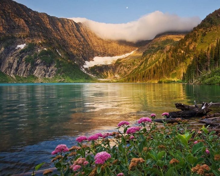 Горы озеро цветы