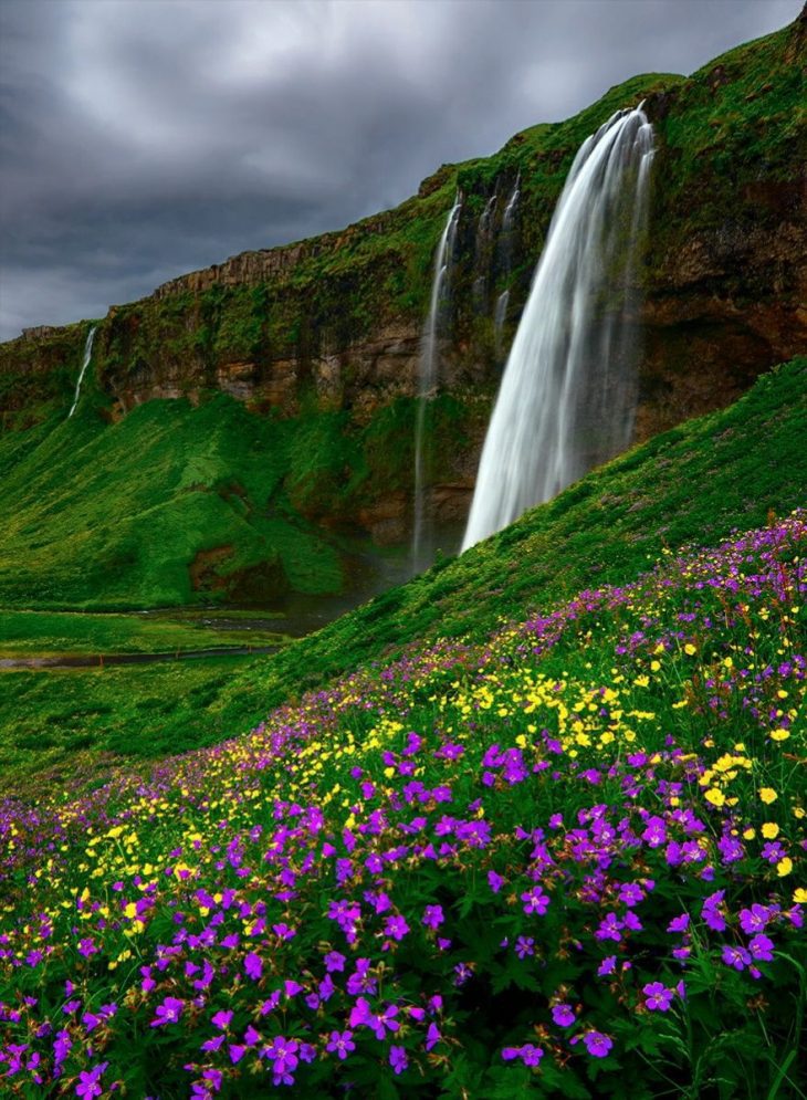 Горы цветы водопад