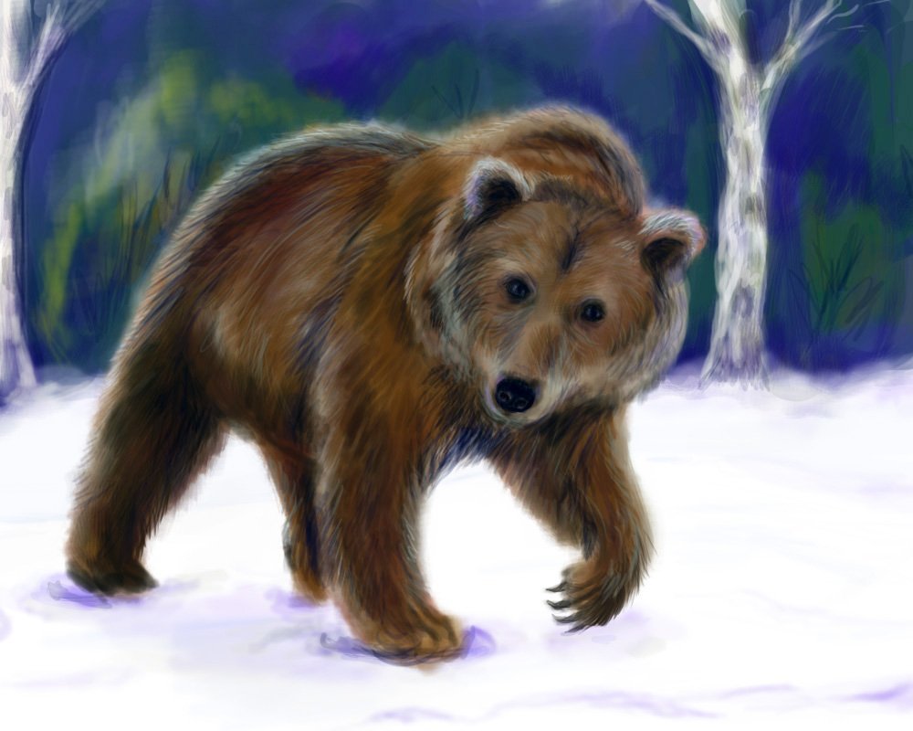Картинка яркая медведь в зимнем лесу