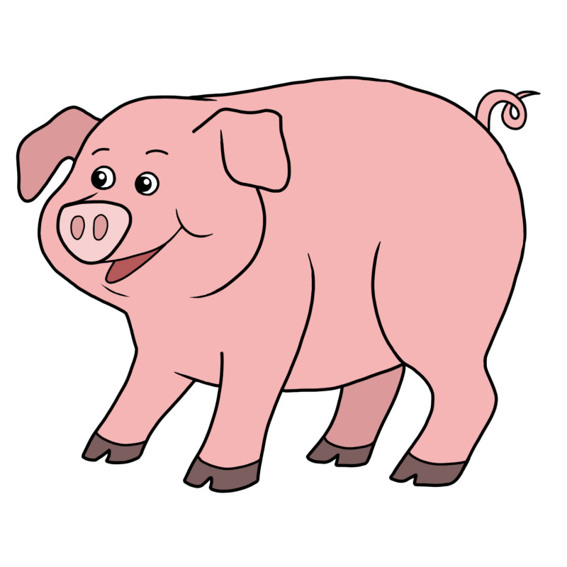 Картинка большая свинья