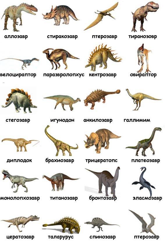 Виды динозавров с названиями.