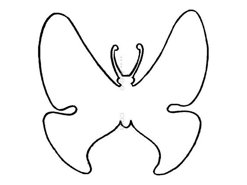 Шаблон бабочки для вырезания