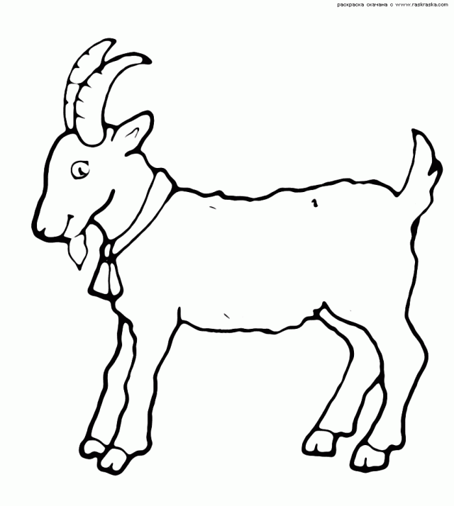 Раскраска для детей коза.