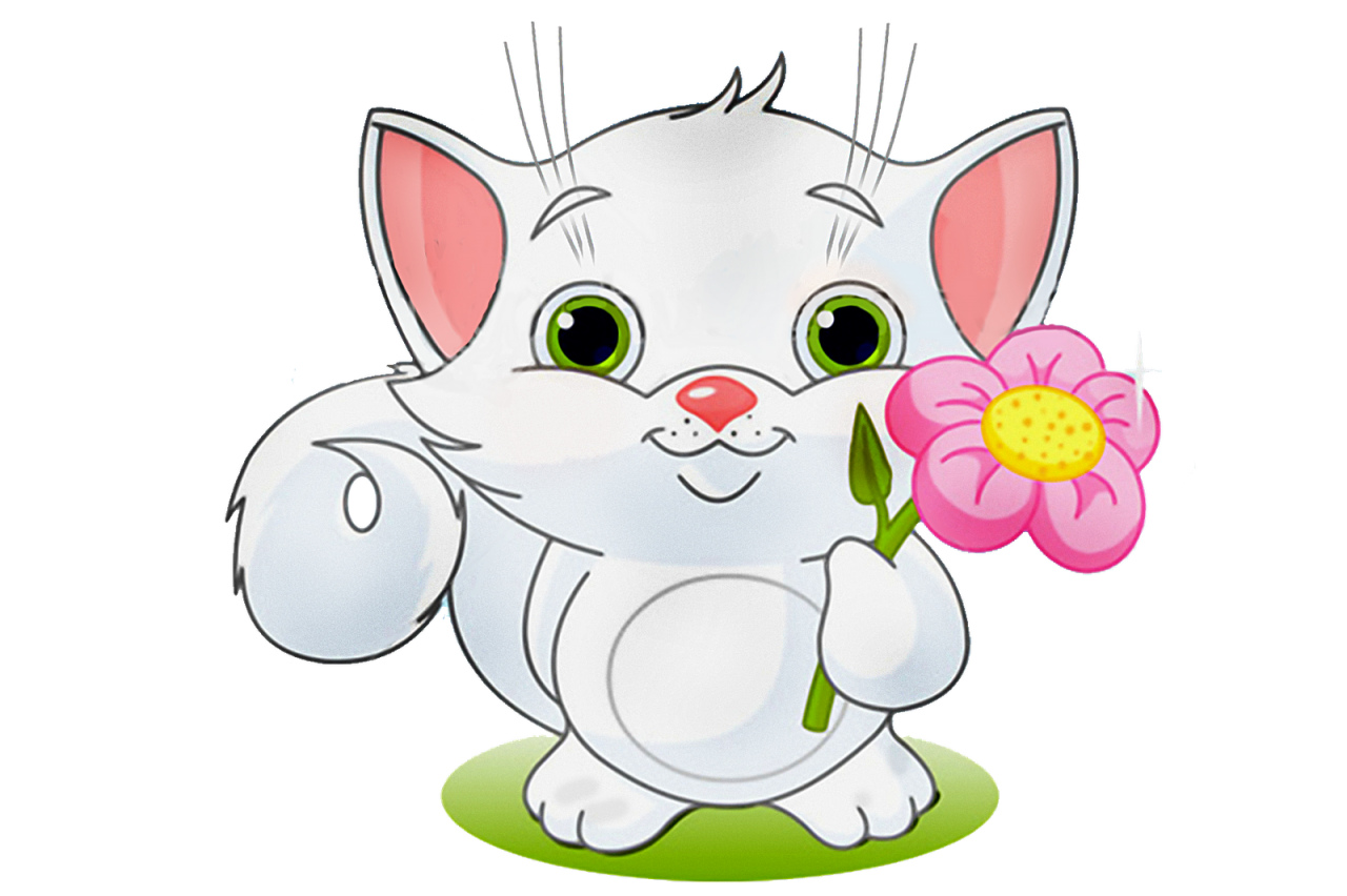 Нежная картинка белый котенок с цвветком