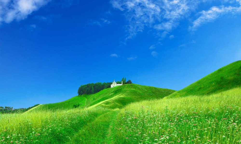 Синее небо и зеленая трава.