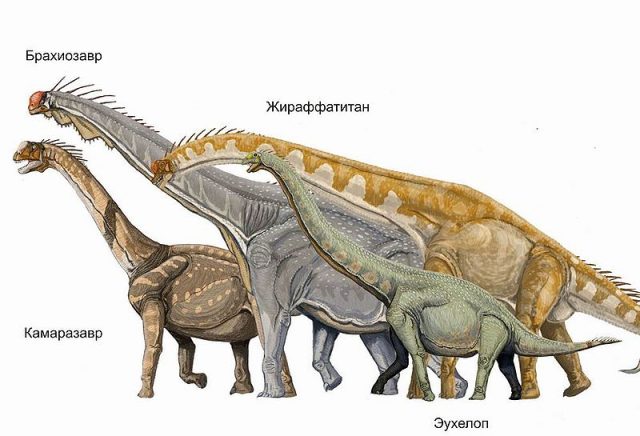 Динозавры с названиями.