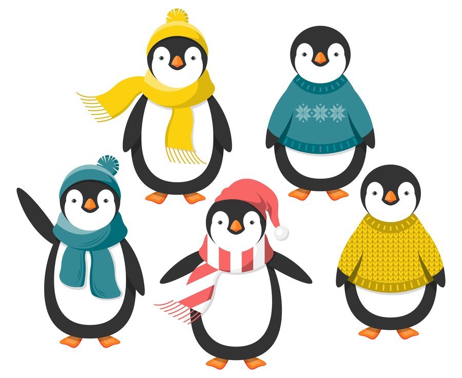Открытка пингвины в свитерках