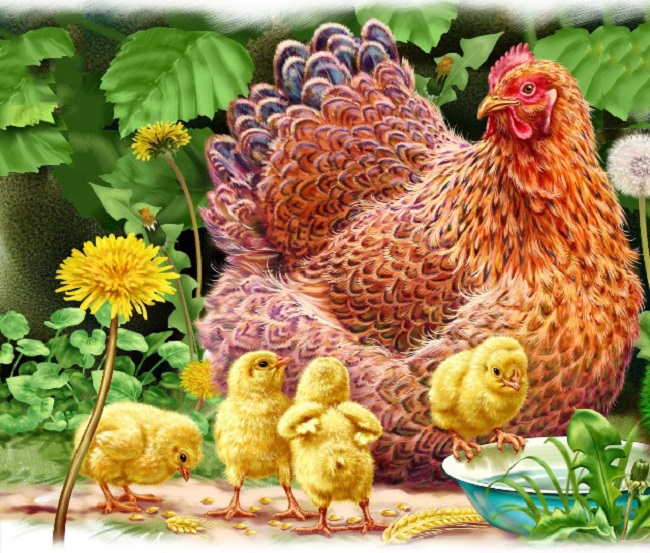 Красивая открытка курица с цыплятами
