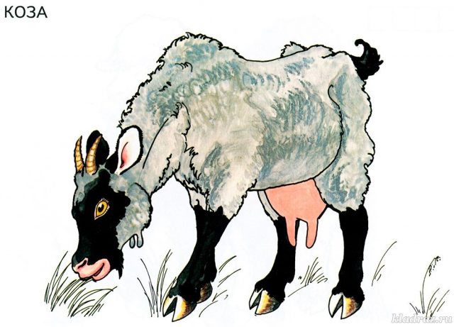 Нарисованная коза.