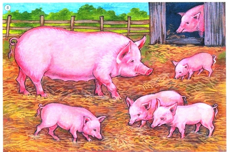 Яркая открытка свинья с поросятами
