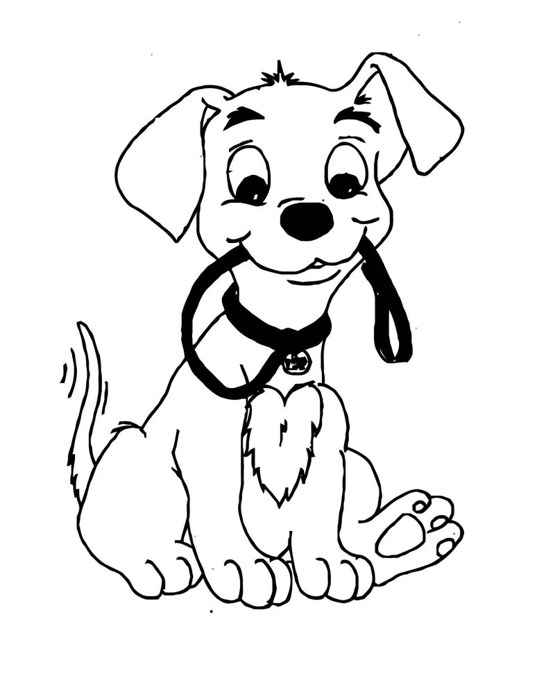 Картинка раскраска щенок с поводком