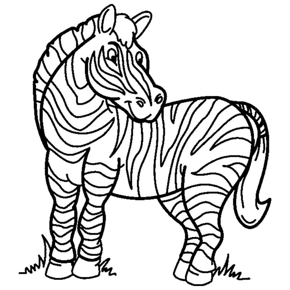 Картинка раскраска красивая зебра