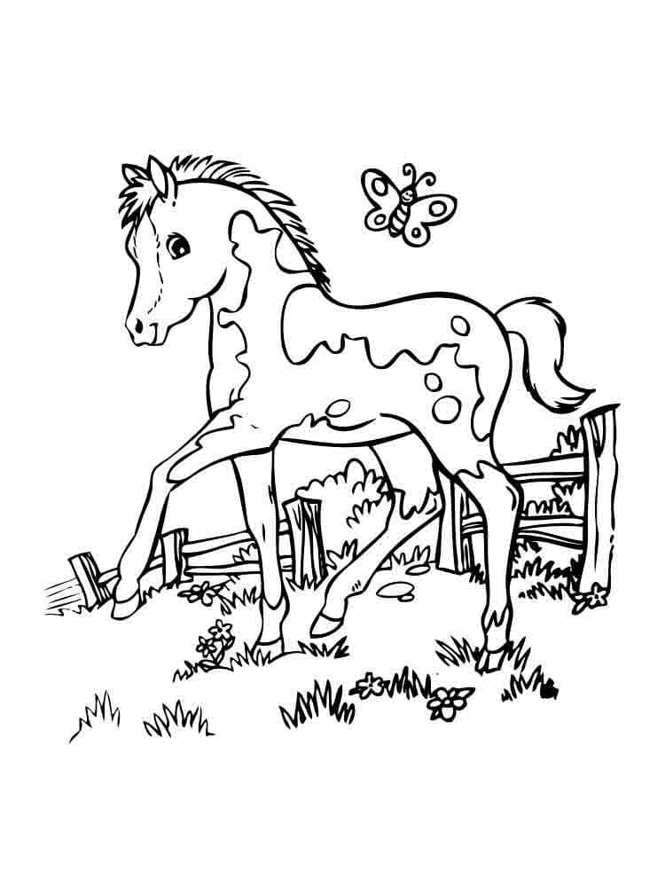 Раскраска открытка красивая лошадка