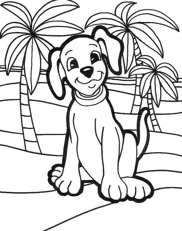 Раскраска открытка собака под пальмами