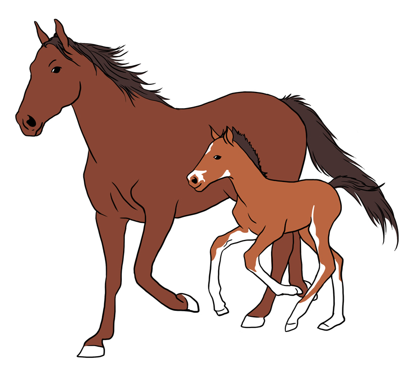 Картинка две лошади