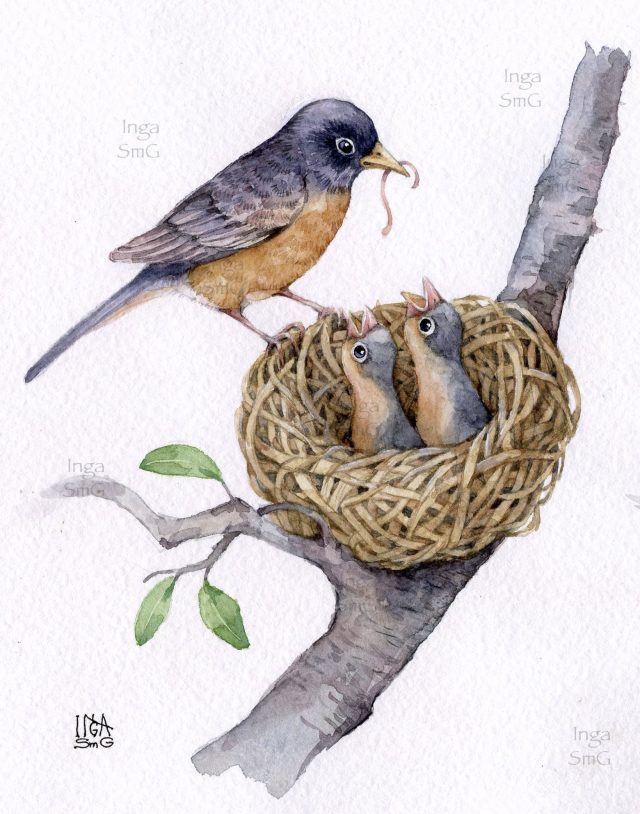 Картинка для детей гнездо.