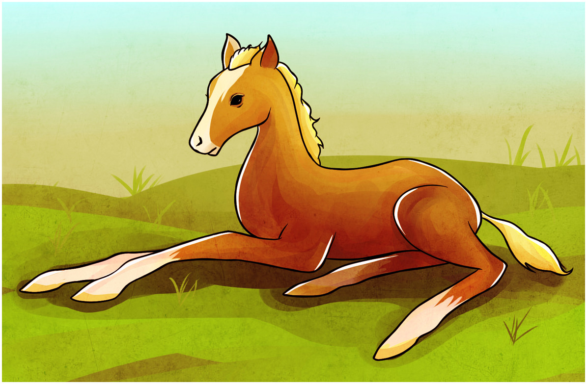 Картинка лошадь на поле