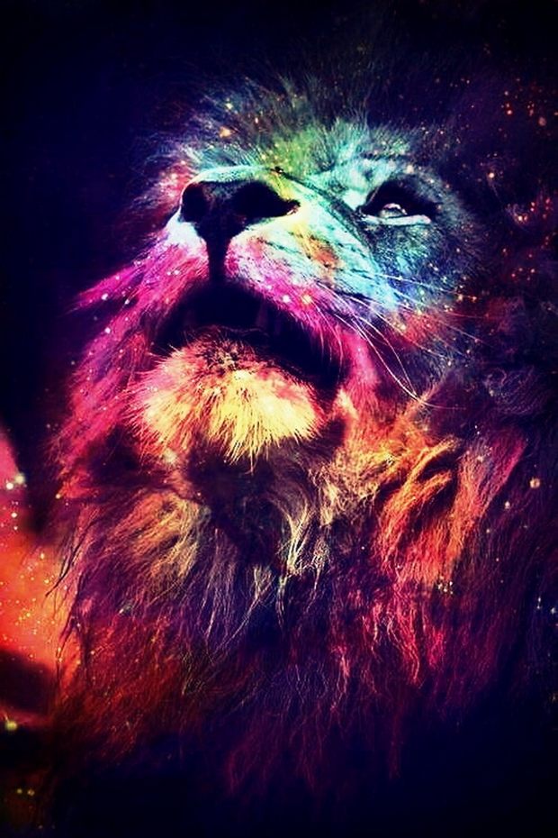 Разноцветный лев.
