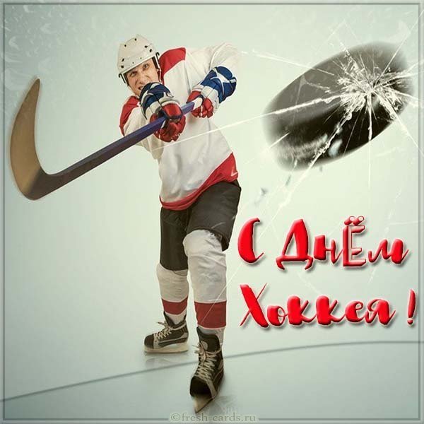 Всероссийский день хоккея.