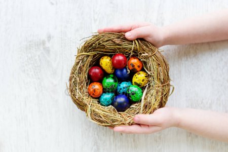 Разноцветные яйца в гнезде.