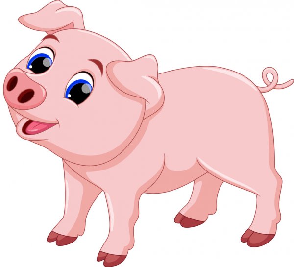 Открытка веселая свинка