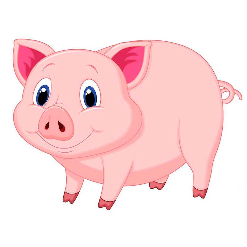 Картинка милая свинка