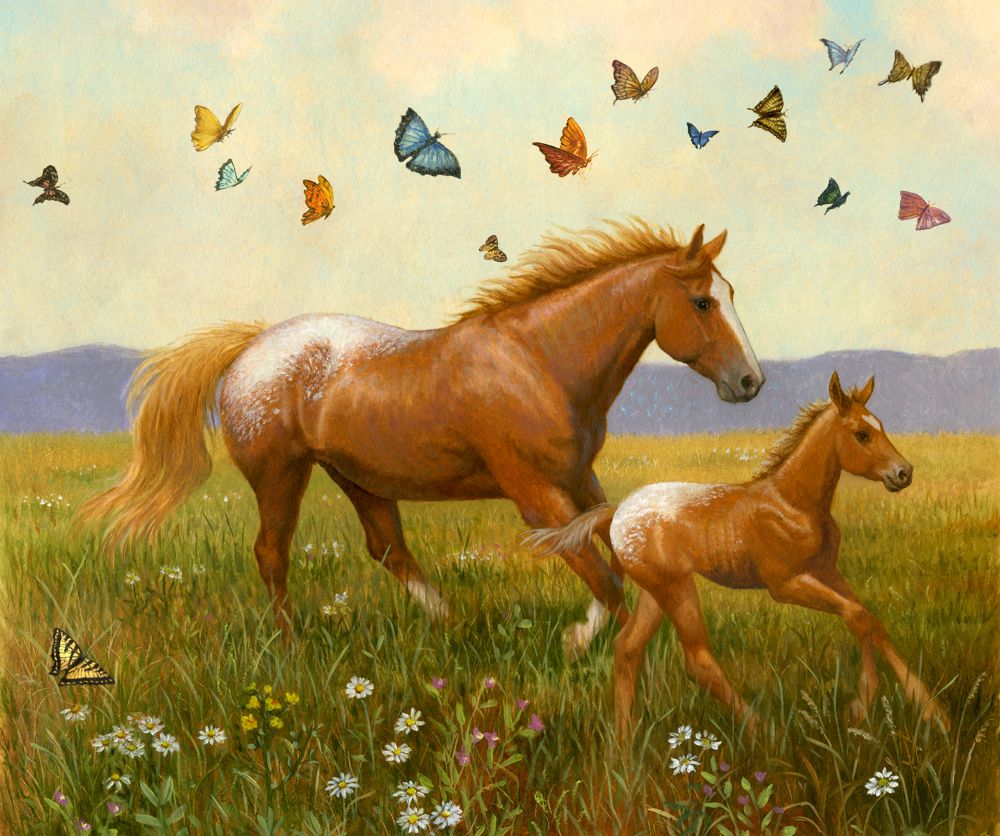 картинки лошадь для детей в детском саду