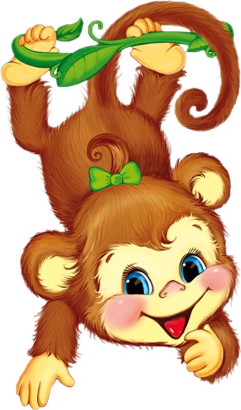 Картинка яркая милая обезьянка