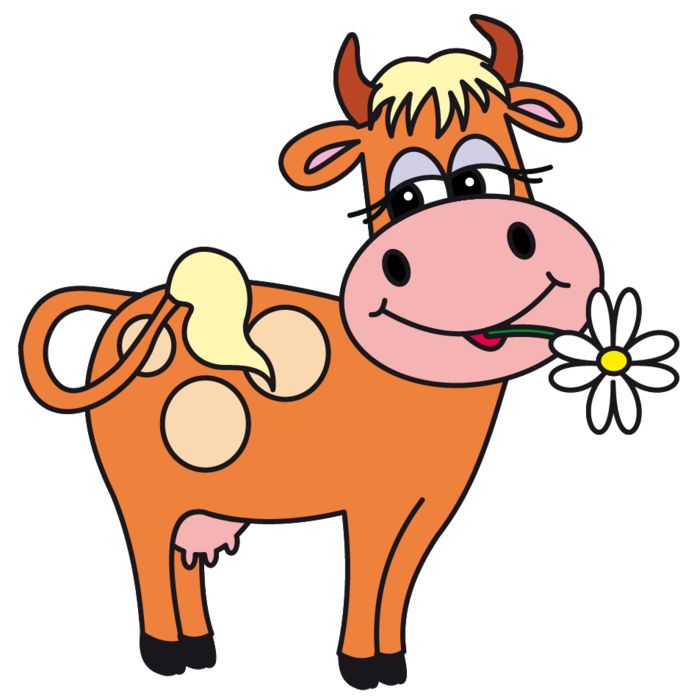 Картинка прикольная корова с цветком