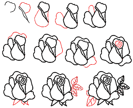 Картинка для срисовки роза.
