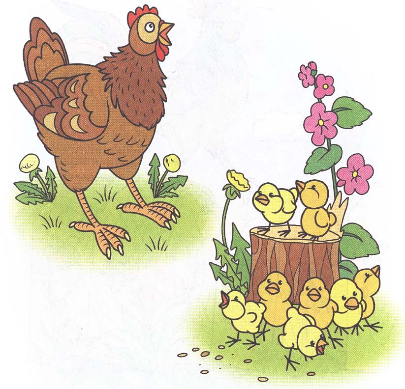 Открытка рисованная курочка с цыплятами