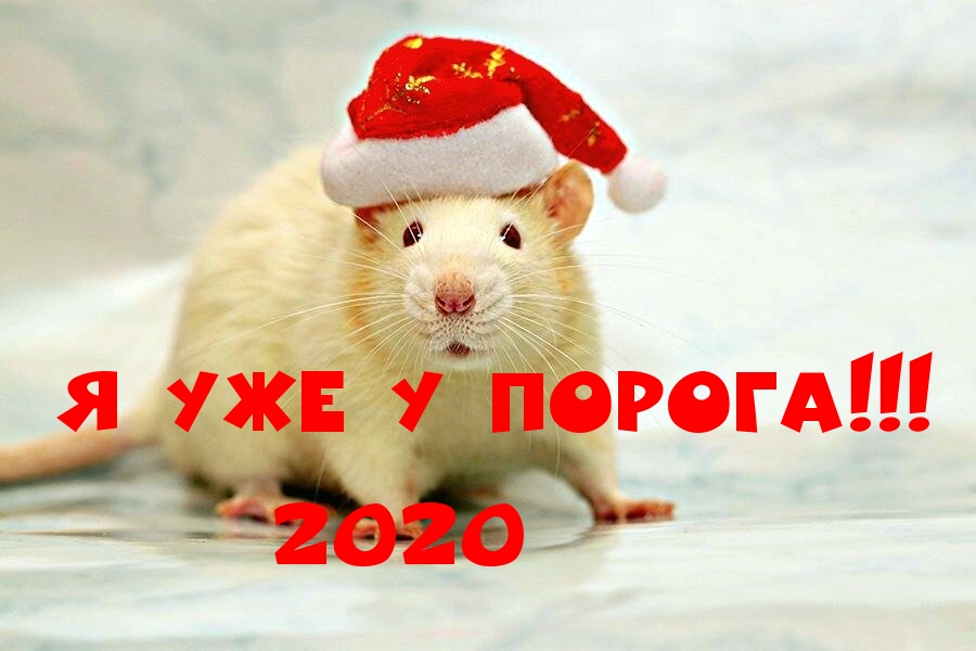 Я уже у порога 2020!!!