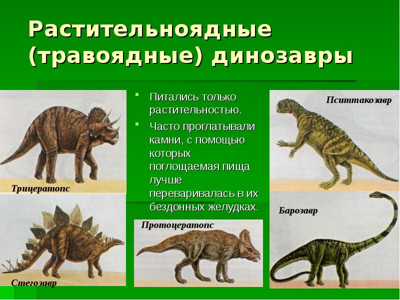 Фото динозавров с названиями для детей на русском языке