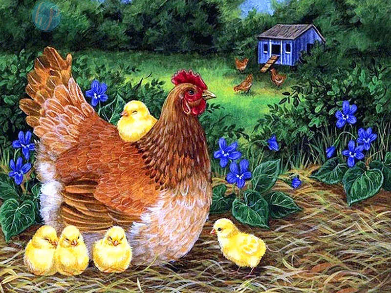 Красивая картинка курица с цыплятами